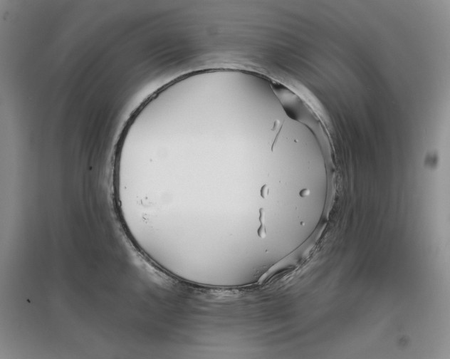 X0000096671144200802261446