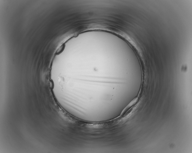 X0000096671145200802261446