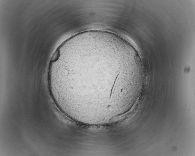 X0000096671146200802261446