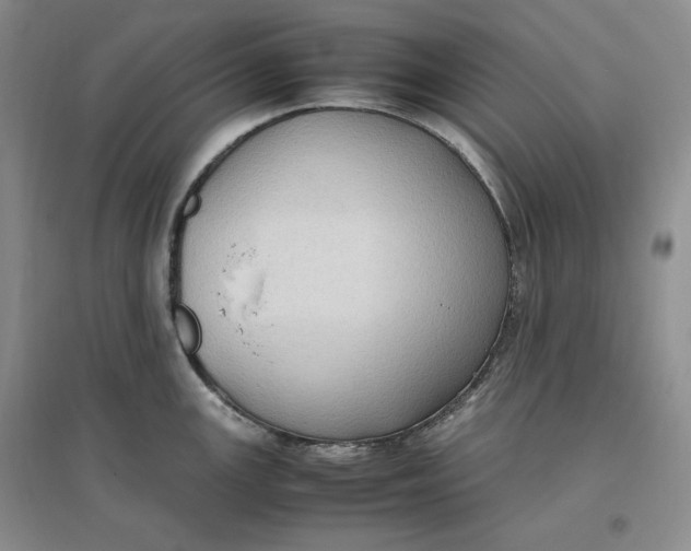 X0000096671147200802261446