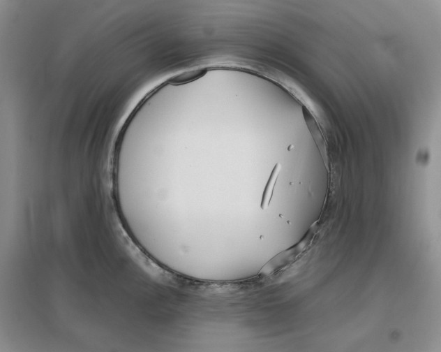 X0000096671148200802261446