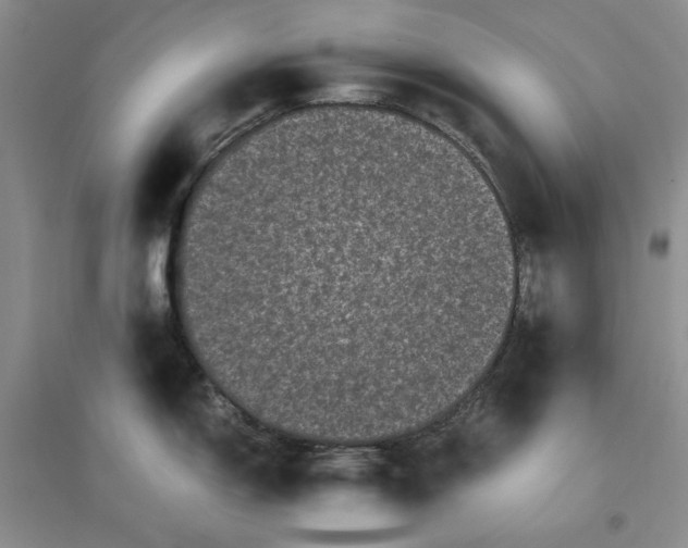 X0000096671150200802261446