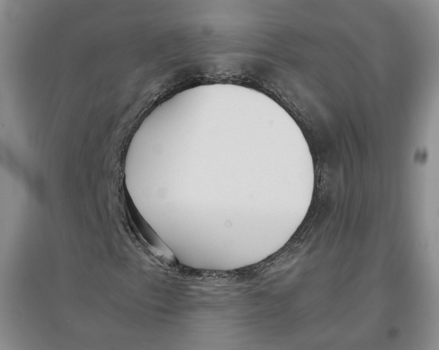 X0000096671153200802261445