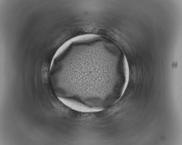 X0000096671154200802261445