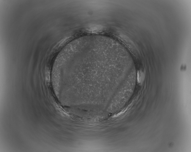 X0000096671155200802261445