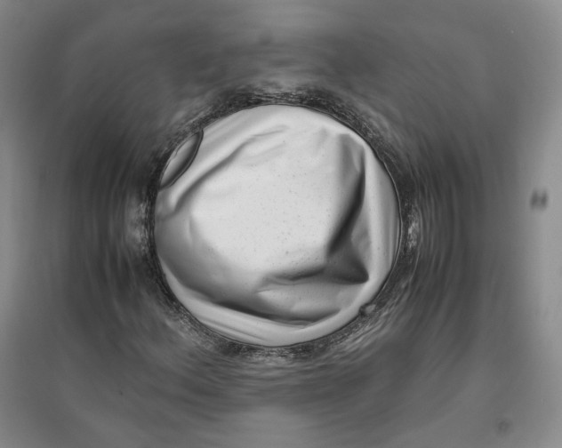 X0000096671156200802261445