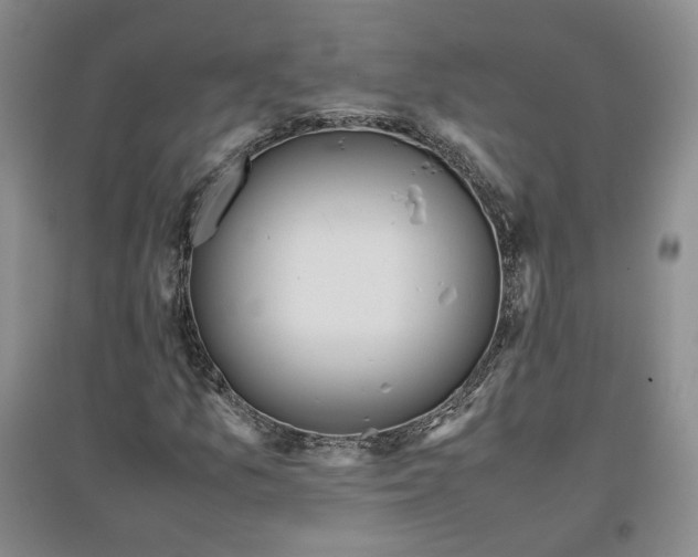 X0000096671157200802261445