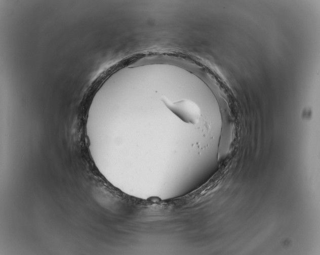 X0000096671160200802261445