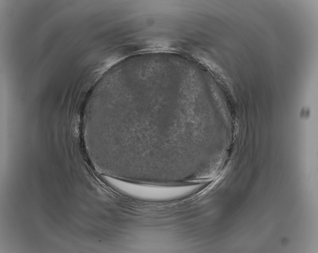 X0000096671161200802261445