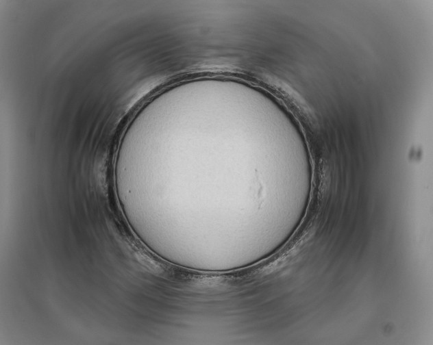 X0000096671162200802261445