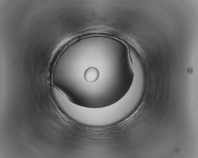 X0000096671164200802261445