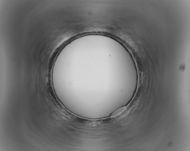 X0000096671165200802261445