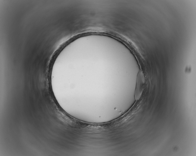 X0000096671168200802261445