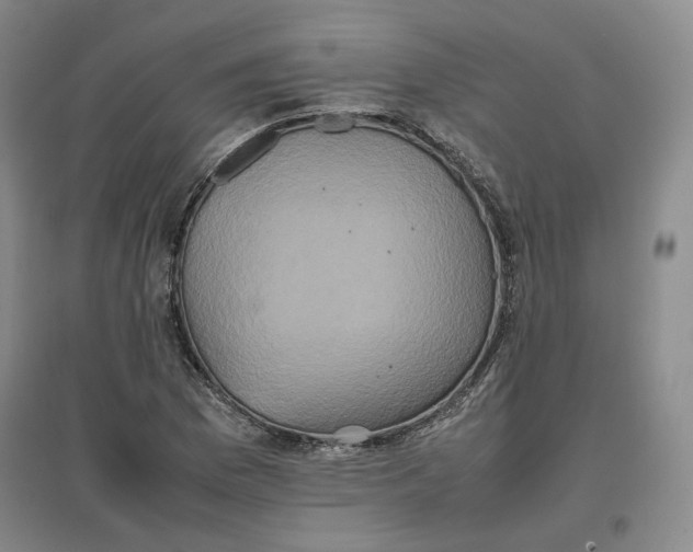 X0000096671169200802261445