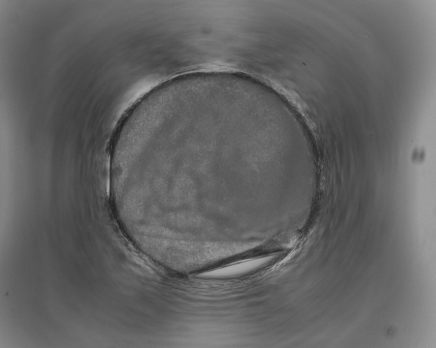 X0000096671171200802261445