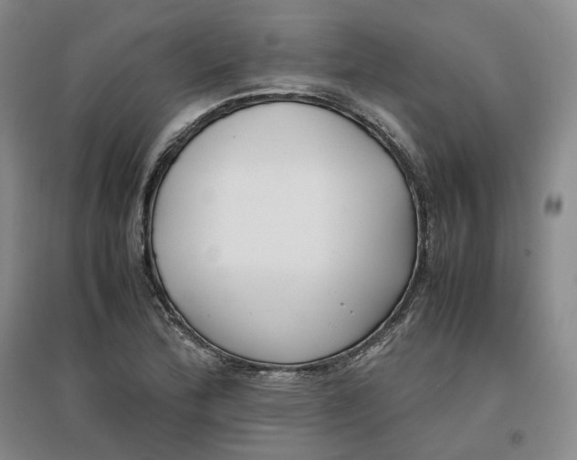 X0000096671172200802261445