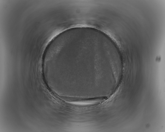 X0000096671173200802261445