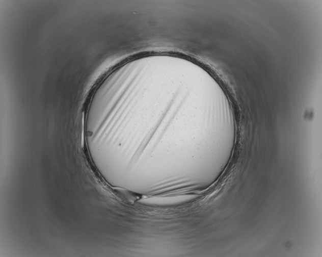 X0000096671175200802261445