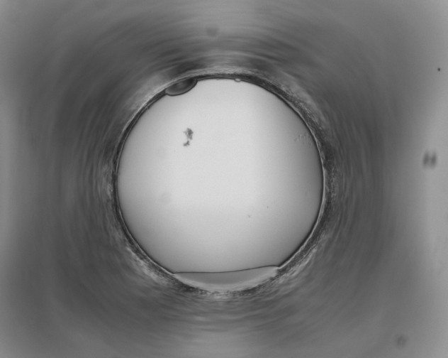 X0000096671177200802261445