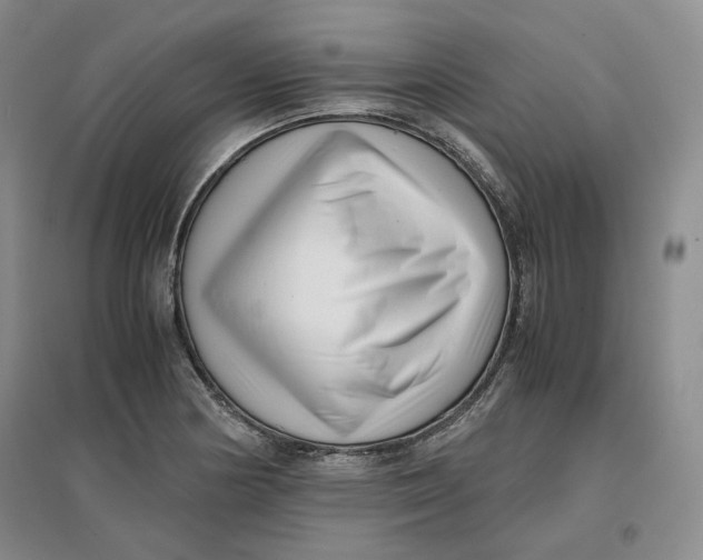 X0000096671178200802261445