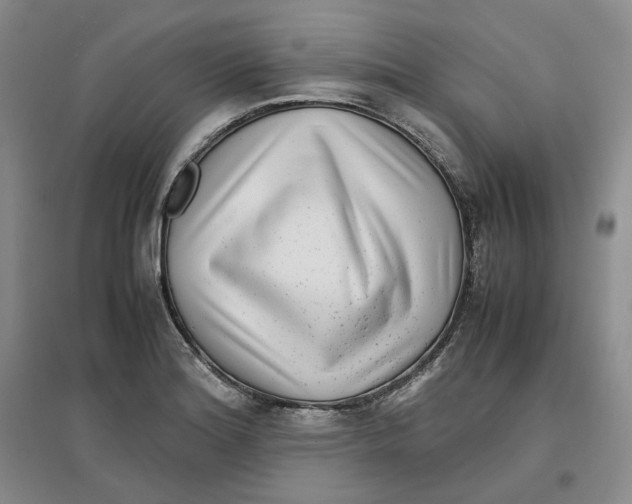 X0000096671180200802261445