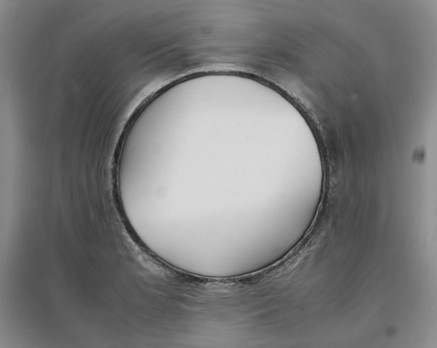 X0000096671181200802261445