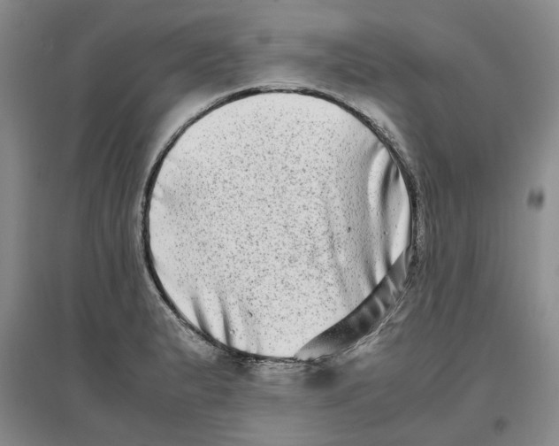 X0000096671183200802261445