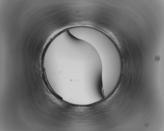 X0000096671184200802261445