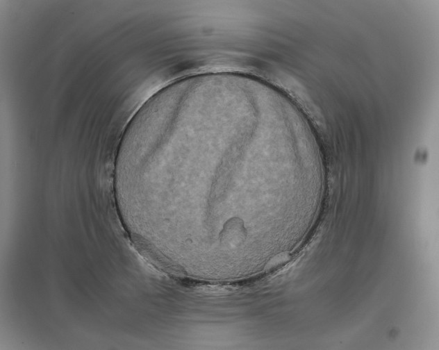 X0000096671185200802261445