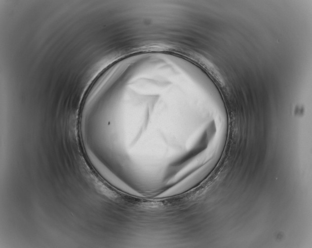 X0000096671186200802261445