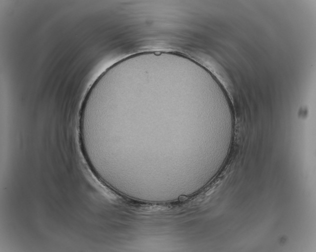 X0000096671187200802261445