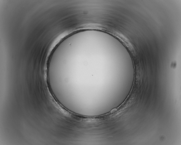 X0000096671188200802261445