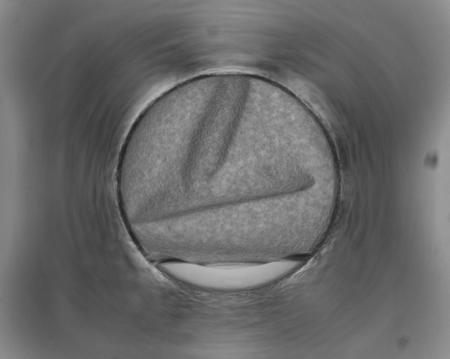 X0000096671189200802261445