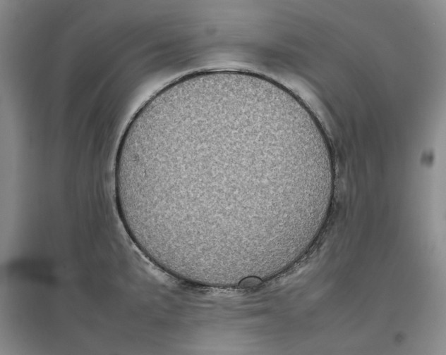 X0000096671191200802261445