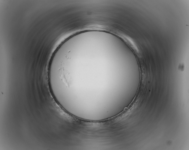 X0000096671192200802261445