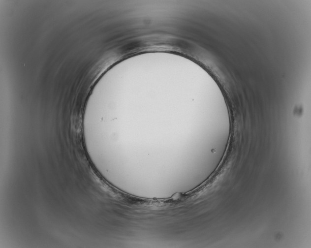 X0000096671193200802261445