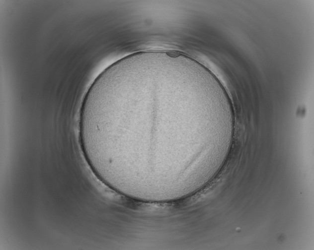 X0000096671195200802261445