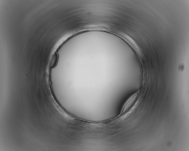 X0000096671196200802261445