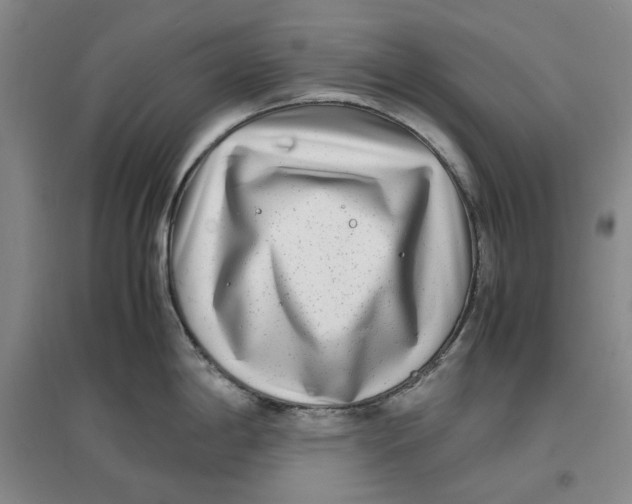 X0000096671198200802261445