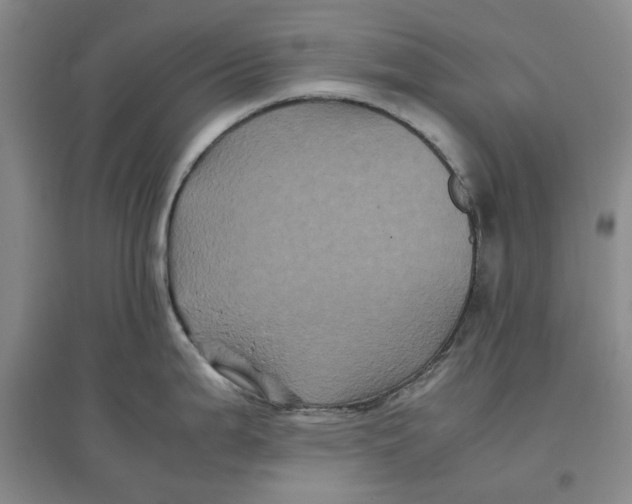 X0000096671199200802261444