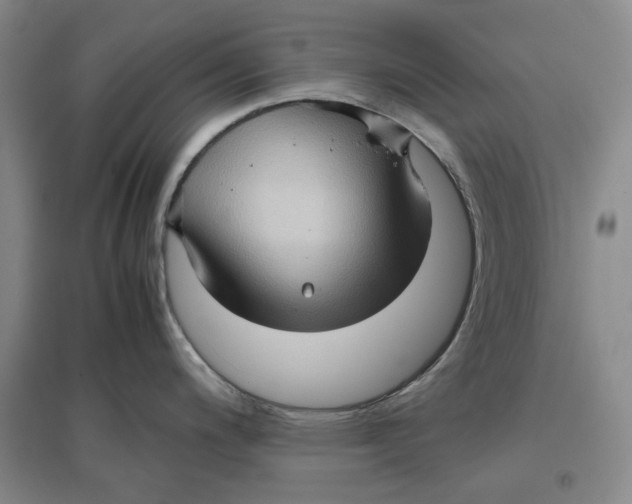 X0000096671200200802261444