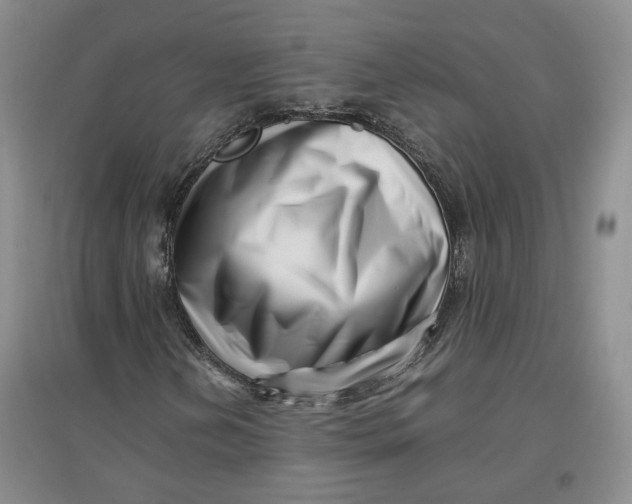 X0000096671202200802261444