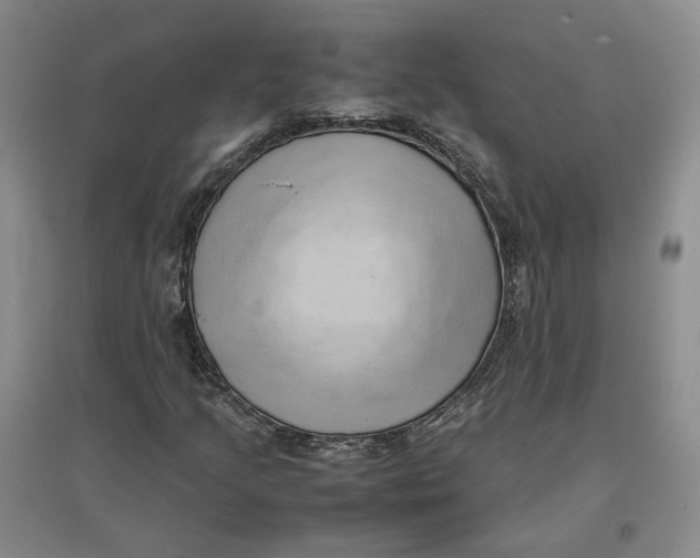 X0000096671205200802261444