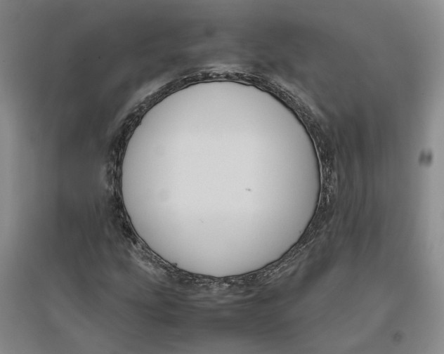 X0000096671207200802261444