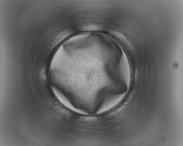 X0000096671209200802261444