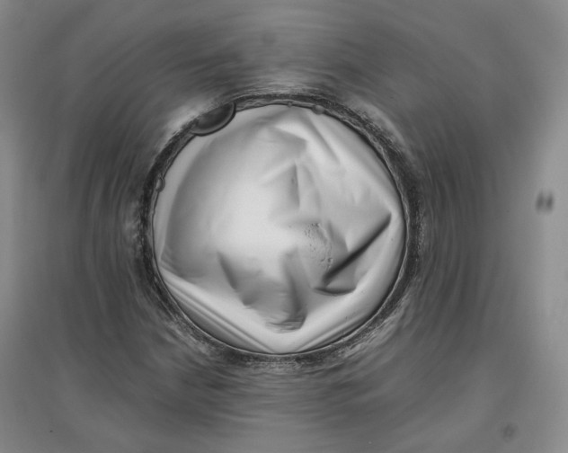 X0000096671210200802261444