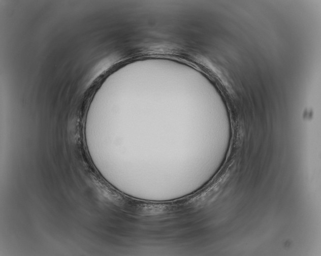 X0000096671211200802261444