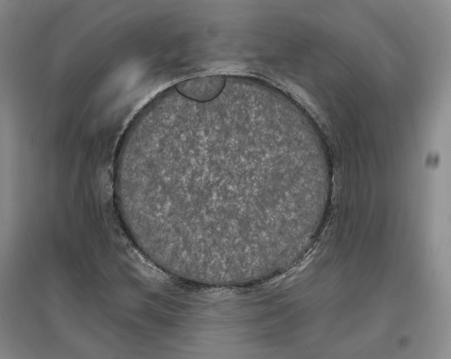 X0000096671212200802261444