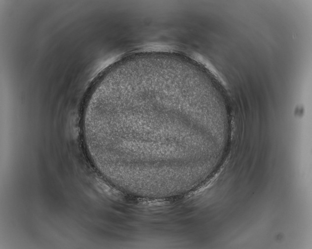 X0000096671213200802261444