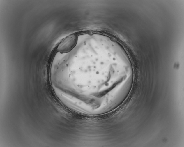 X0000096671214200802261444